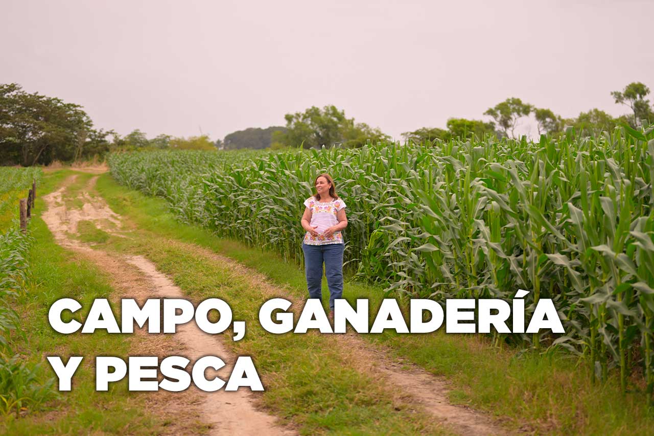 Eje de Gobierno - Campo, Ganaderia y Pesca